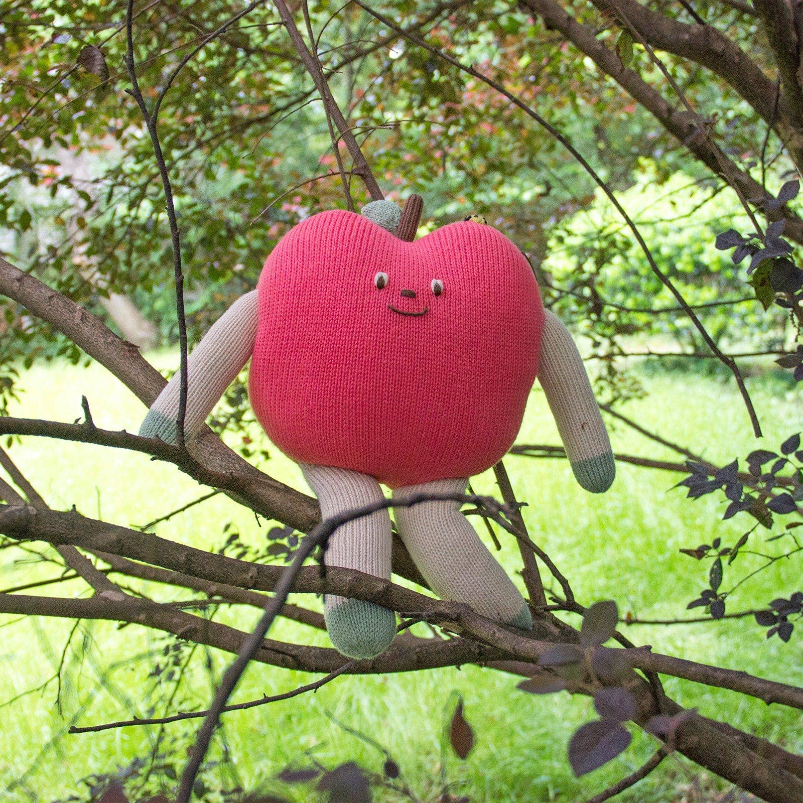 Gala the Apple: Regular - Image 5