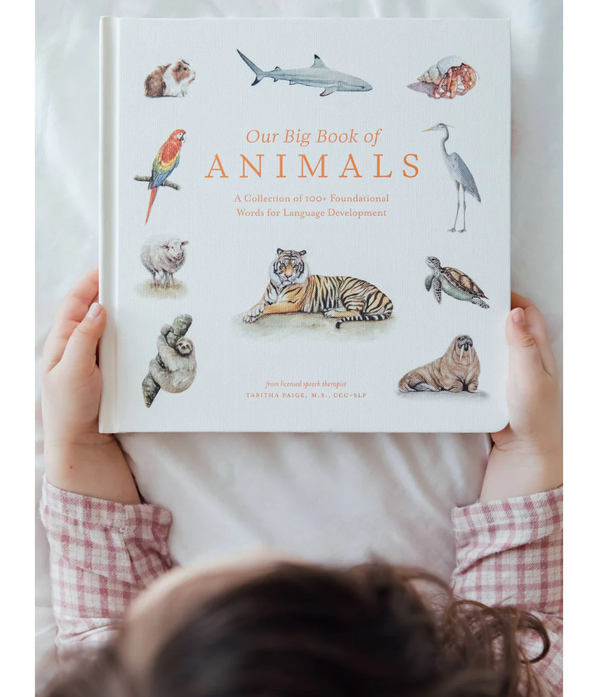 Our Big Book of Animals - Image 5
