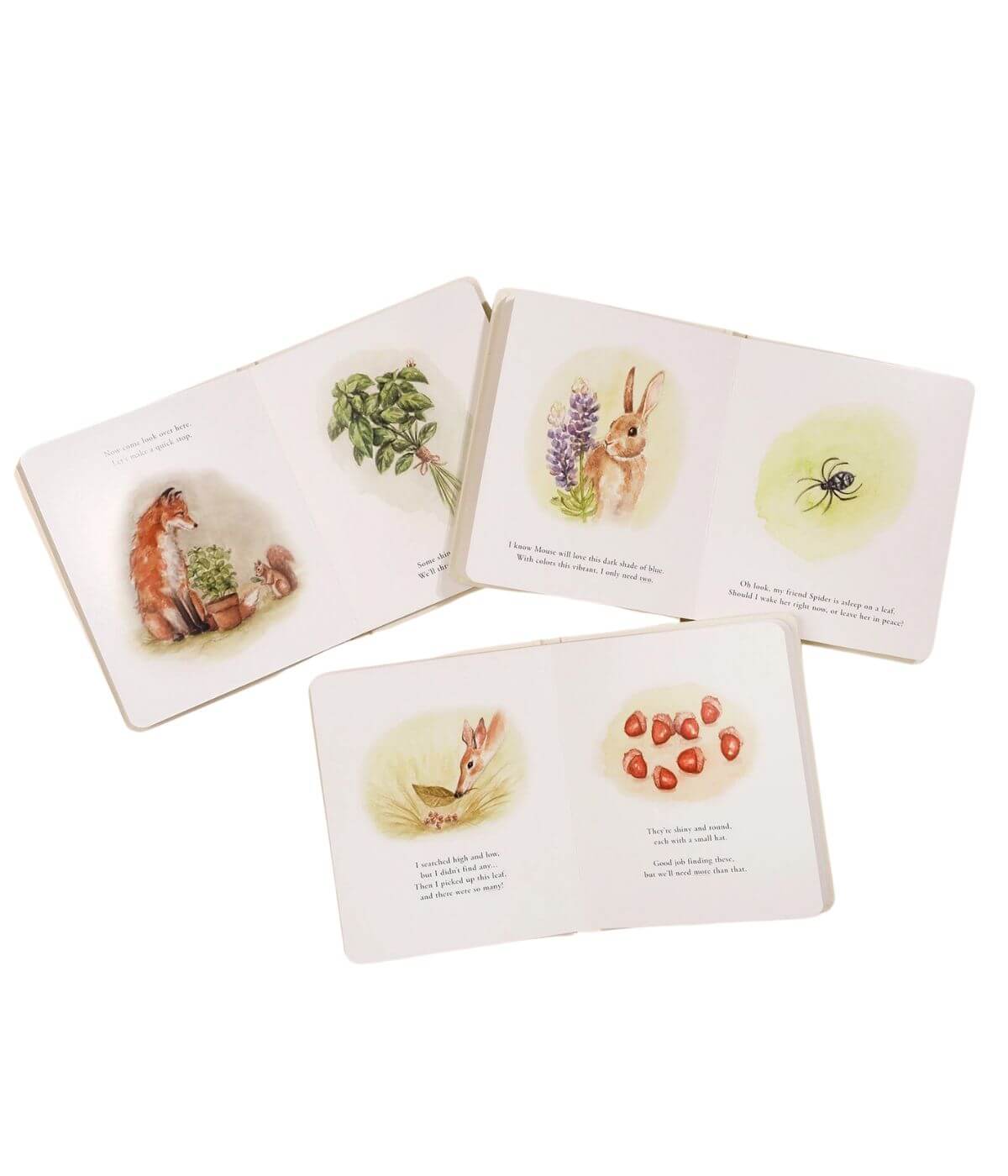 Our Little Adventures - Box Set for Kids - Image 4