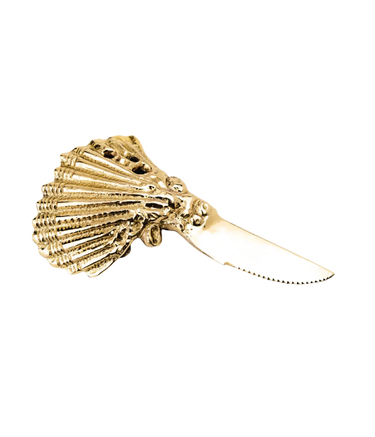 Shell Spreader