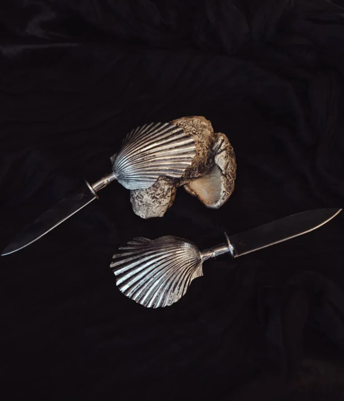 Shell Oyster Knife - Stainless Steel - Image 2